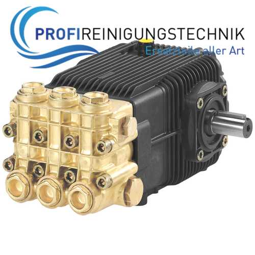 Pumpe Serie 194 Annovi Reverberi