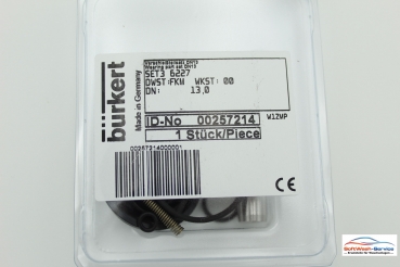 Ventil Dichtsatz FKM für Bürkert MV Typ 6227
