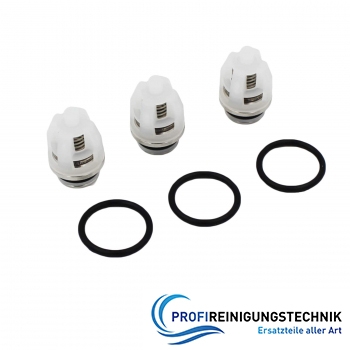 Ventilsatz für CAT Pumpe