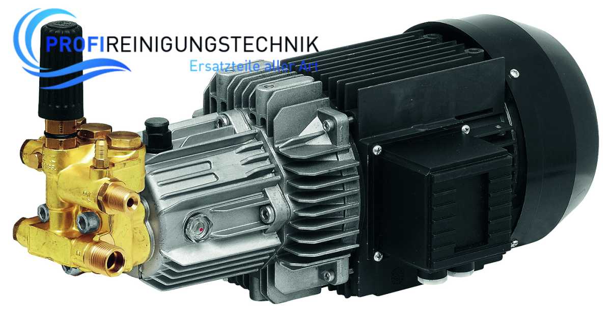Motorpumpe Annovi Reverberi Serie 198
