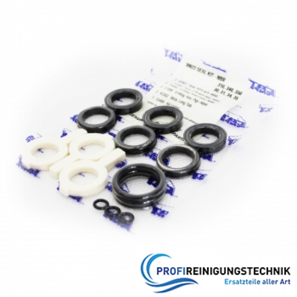 Dichtsatz für CAT Pumpe 310, 340 und 350
